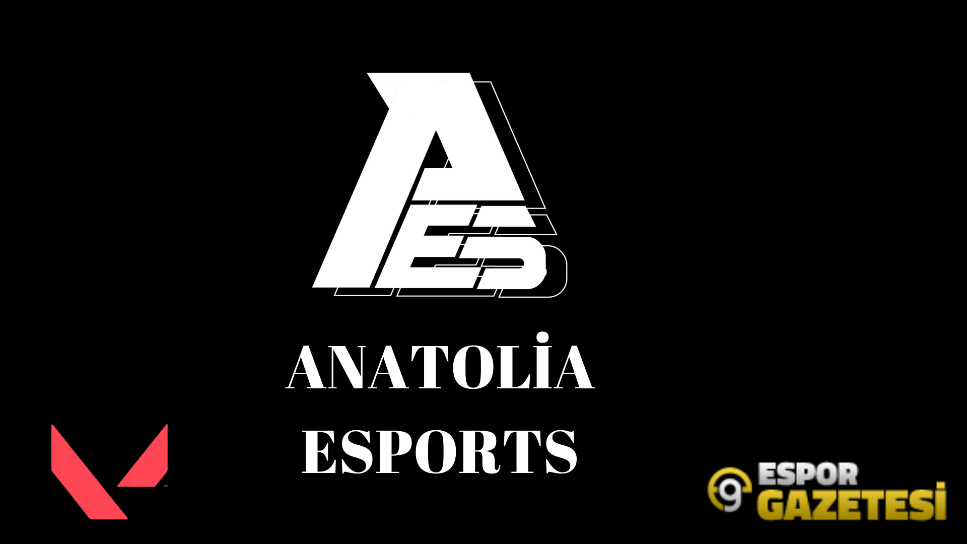 Anatolia Esports