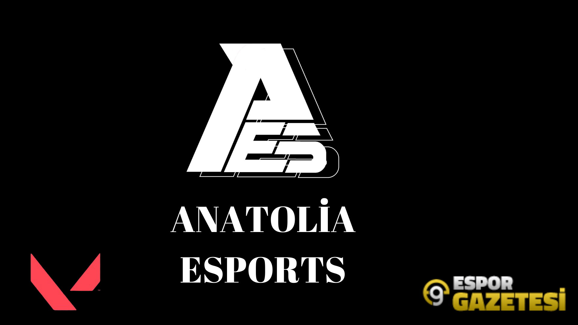 First Strike Türkiye öncesi Anatolia Esports kimdir?