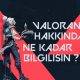 8b36bd3a 3ede 4dc8 b726 d1f878a07fef