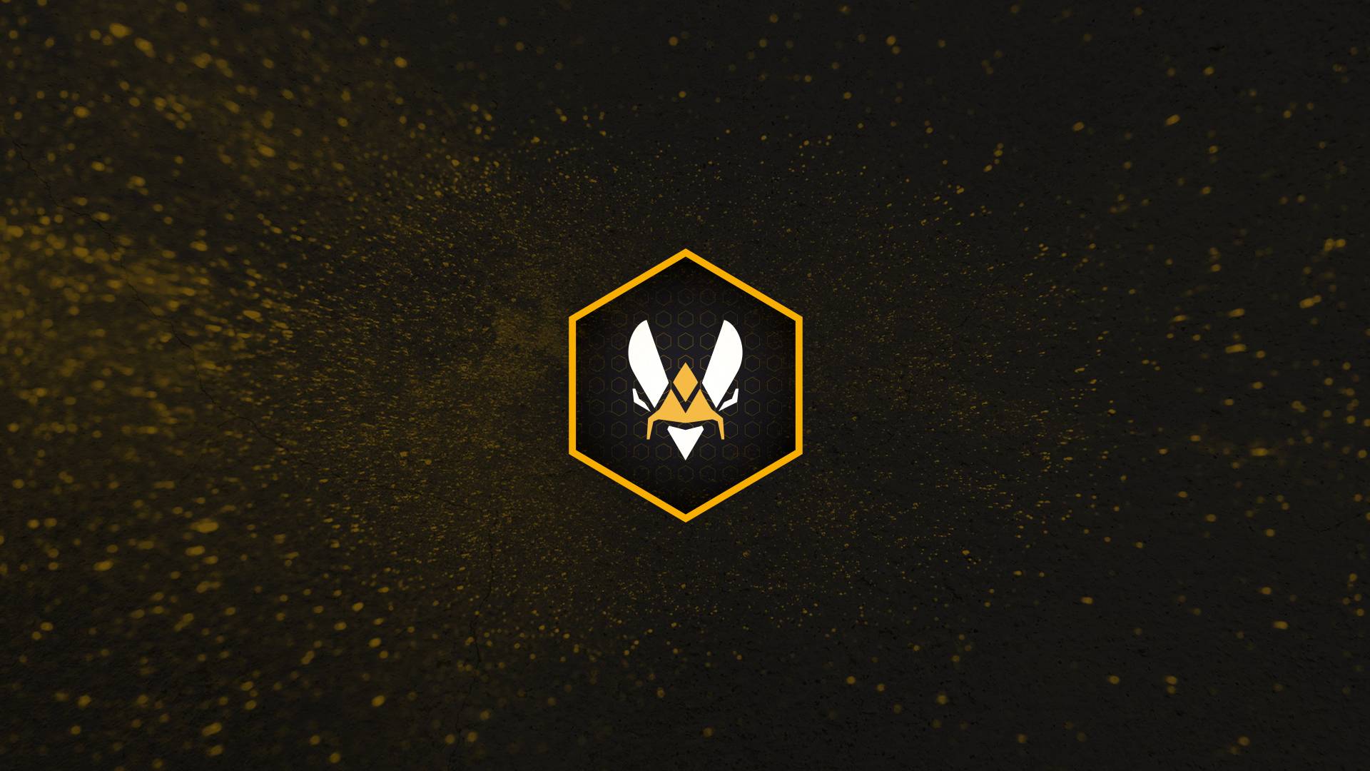 Team Vitality Valorant Kadrosunu Duyurdu