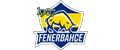1907 Fenerbahce Esports Logo std