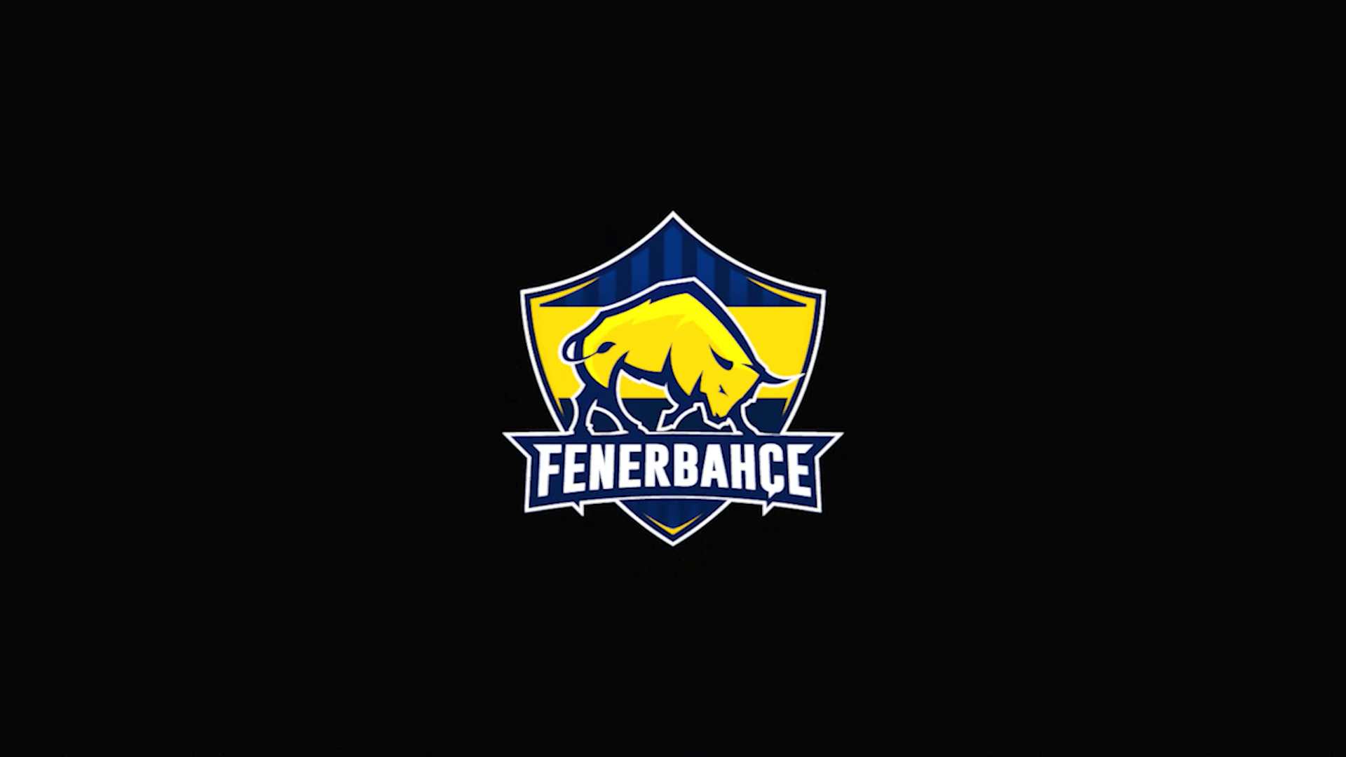 Fenerbahçe Espor (@FBespor) / X