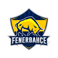 fenerbahce espor